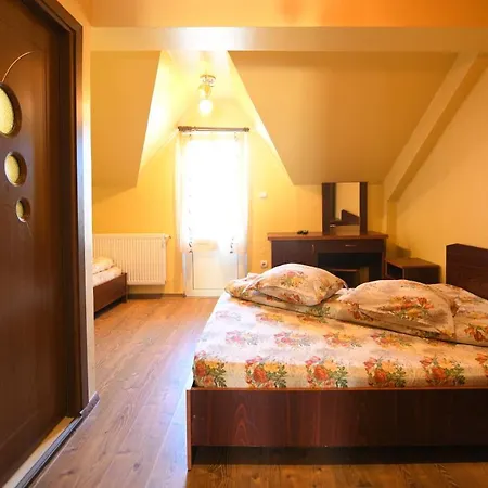 Pensiunea Dany Hotel Clopotiva