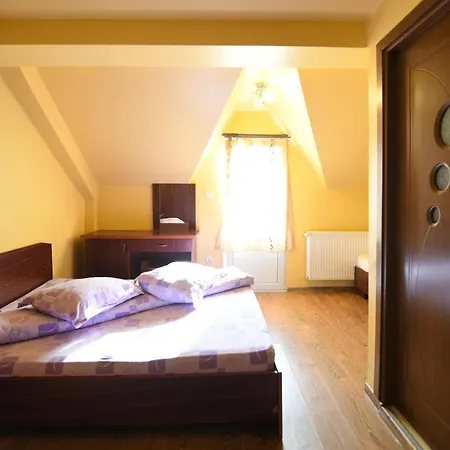 Pensiunea Dany Hotel Clopotiva