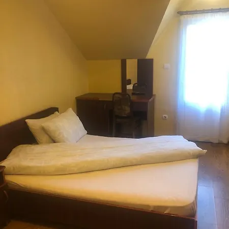 Hotel Pensiunea Dany 2*