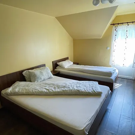 Hotel Pensiunea Dany Clopotiva